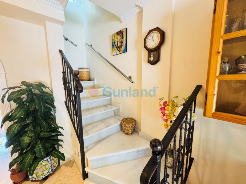 Segunda mano - Duplex - Torrevieja - Aguas Nuevas