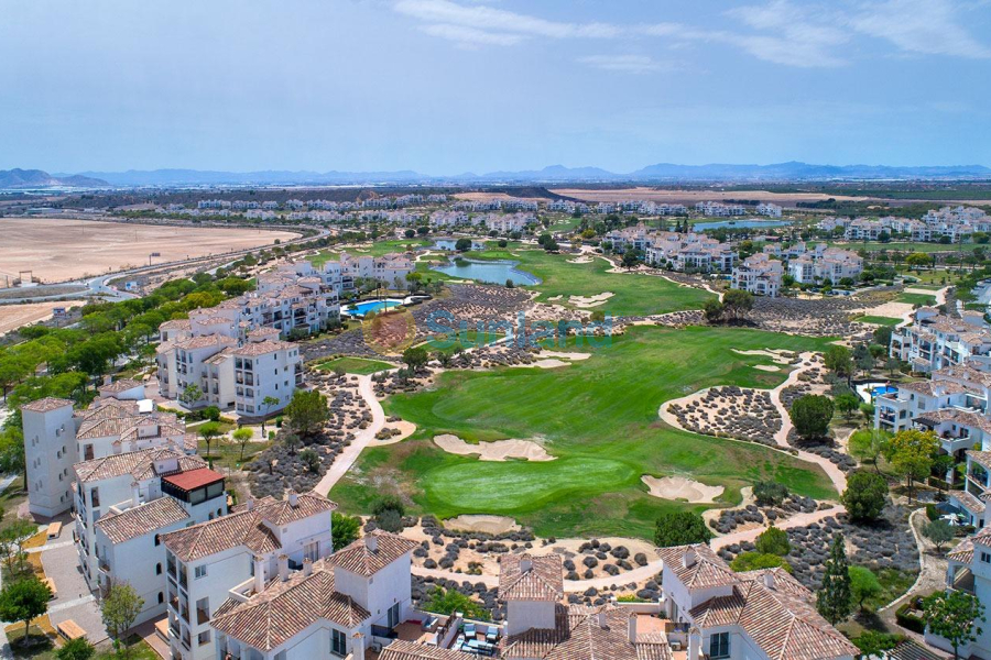 New Build - Semidetached - Sucina