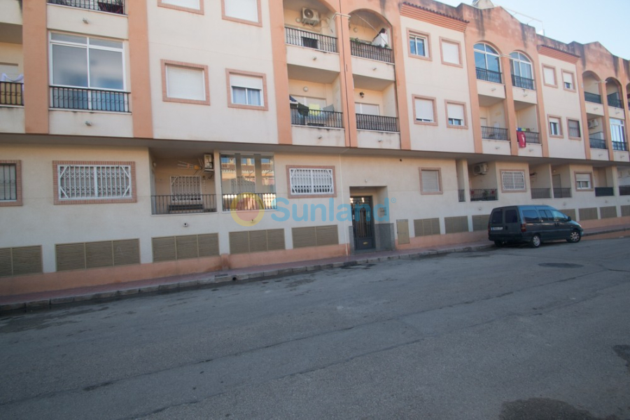Segunda mano - Apartamento - Orihuela - San Isidro