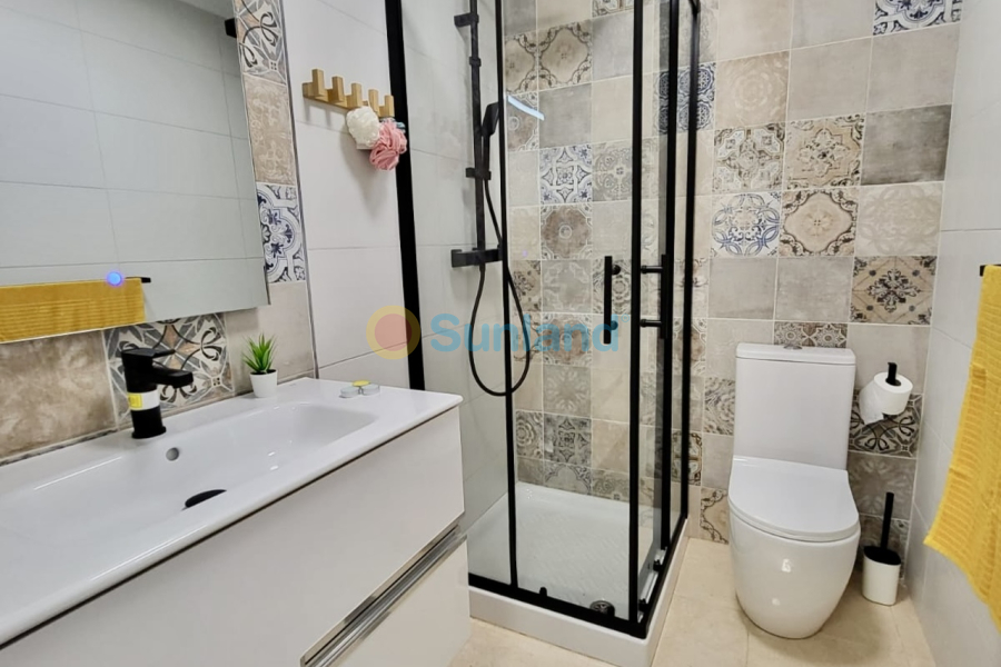 Segunda mano - T - San Miguel De Salinas