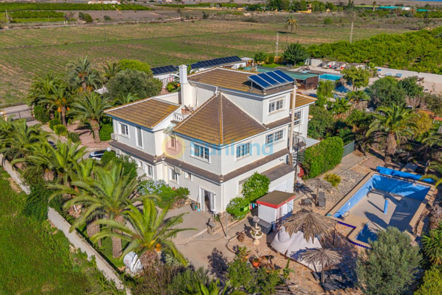 Segunda mano - Country house - Los Montesinos