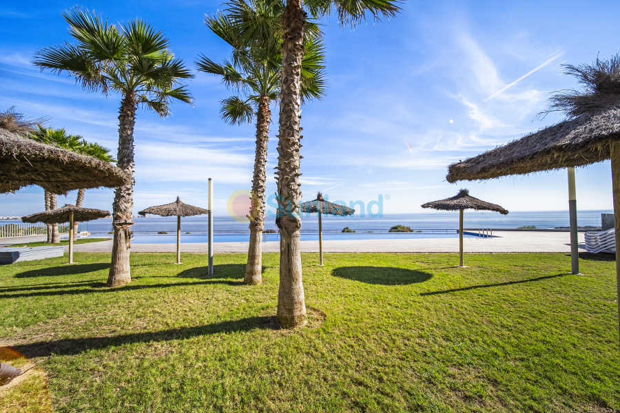 Brukte eiendommer - Apartamento - Torrevieja - Punta Prima