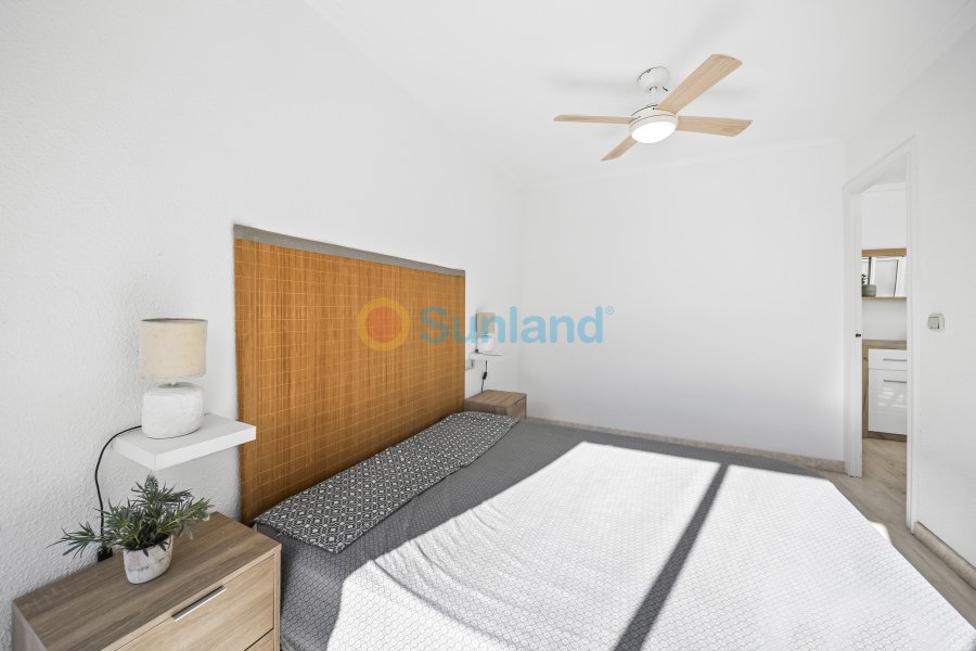 Segunda mano - Apartamento - Torrevieja - Puerto