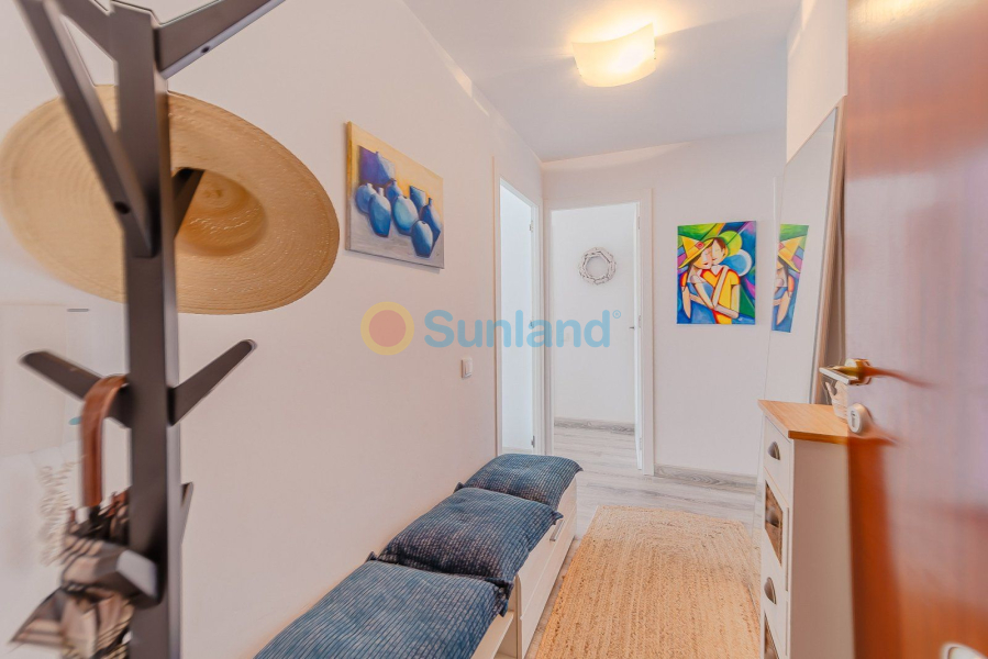 Brukte eiendommer - Apartamento - Torrevieja - Playa del Cura