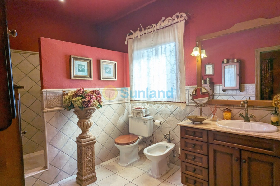 Segunda mano - Detached Villa - Bigastro