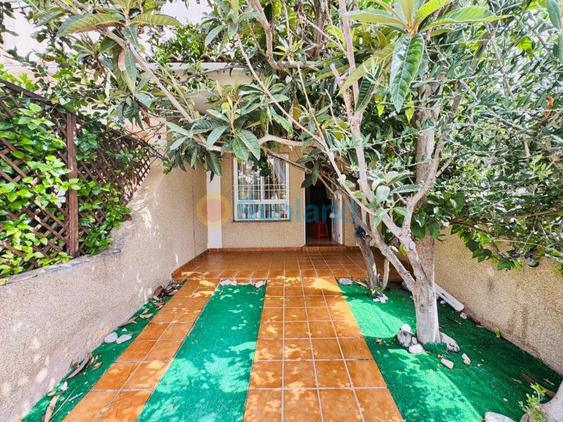 Segunda mano - Duplex - Torrevieja - Aguas Nuevas