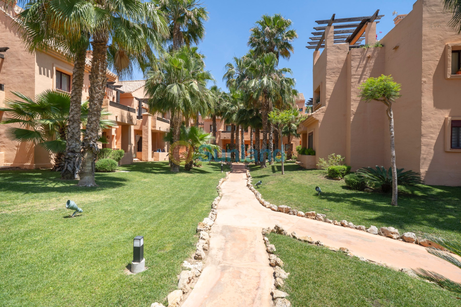 Brukte eiendommer - Duplex - Los Alcázares - Los Montesinos