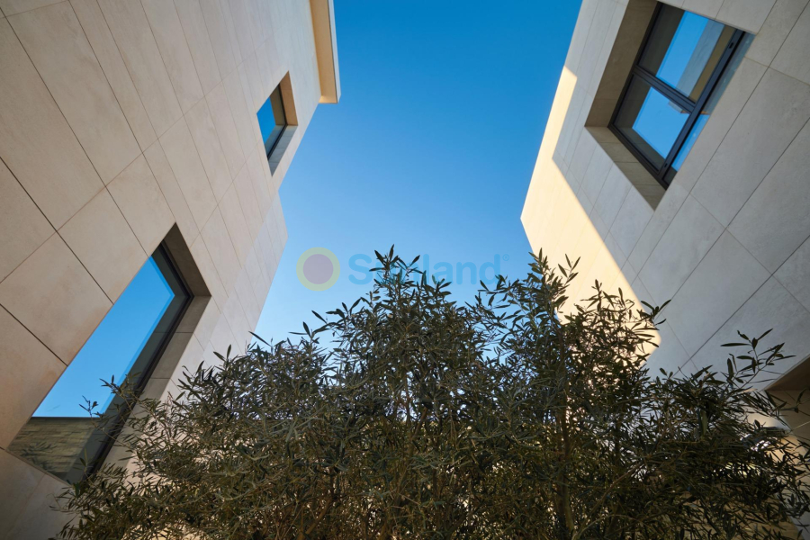 Brukte eiendommer - V - Molina De Segura - Los Conejos