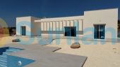 New Build - Villa - Pinoso - Camino Del Prado