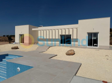 Villa - New Build - Pinoso - Camino Del Prado
