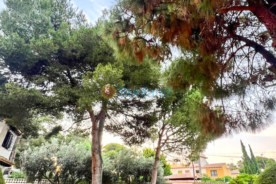 Вторичка - Bилла - Orihuela Costa - Punta Prima