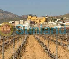 New Build - Ground Floor Bungalow - Hondón de las Nieves - El Salero