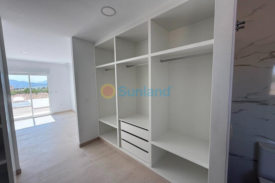 New Build - Villa - Pinoso - Camino Del Prado