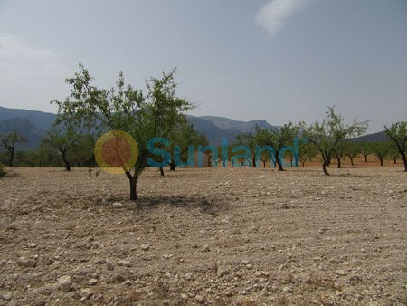 Resale - P - Murcia - 