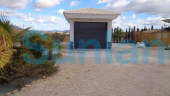 New Build - Villa - Pinoso - Camino Del Prado