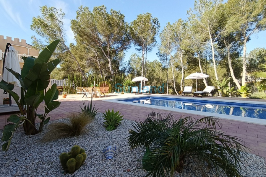 Verkauf - Haus - Pinar De Campoverde - 