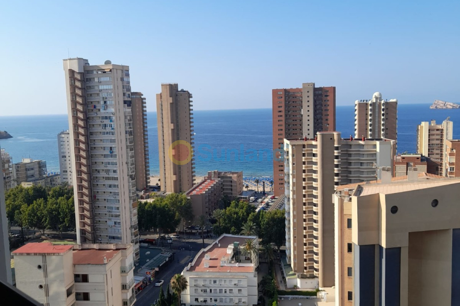 Brukte eiendommer - Leilighet - Benidorm - Levante