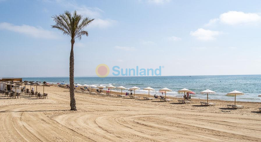 Ny bygg - Ground floor apartment - Guardamar del Segura - Pueblo