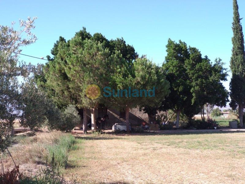 Resale - Finca - Callosa De Segura