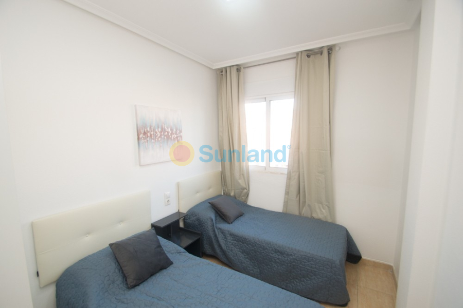 Segunda mano - Apartamento - Orihuela - San Isidro