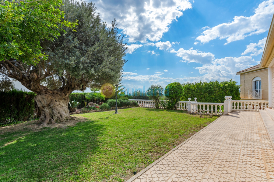 Segunda mano - Chalet - Elche/Elx