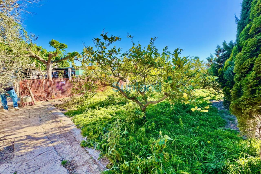 Resale - Country house - Guardamar del Segura - 