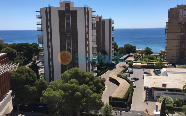 Apartment - Langzeit Vermietung - Orihuela Costa - Dehesa De Campoamor