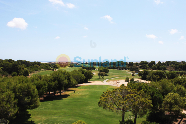 New Build - Bungalow - Pilar de la Horadada - Lo Romero Golf