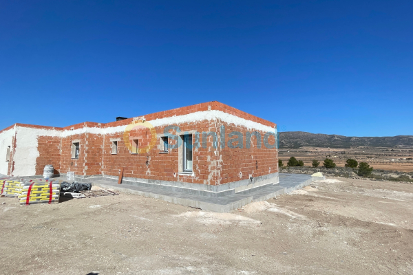 Ny bygg - Detached Villa - Pinoso